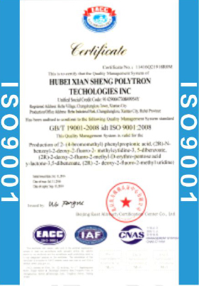 Certification certificate